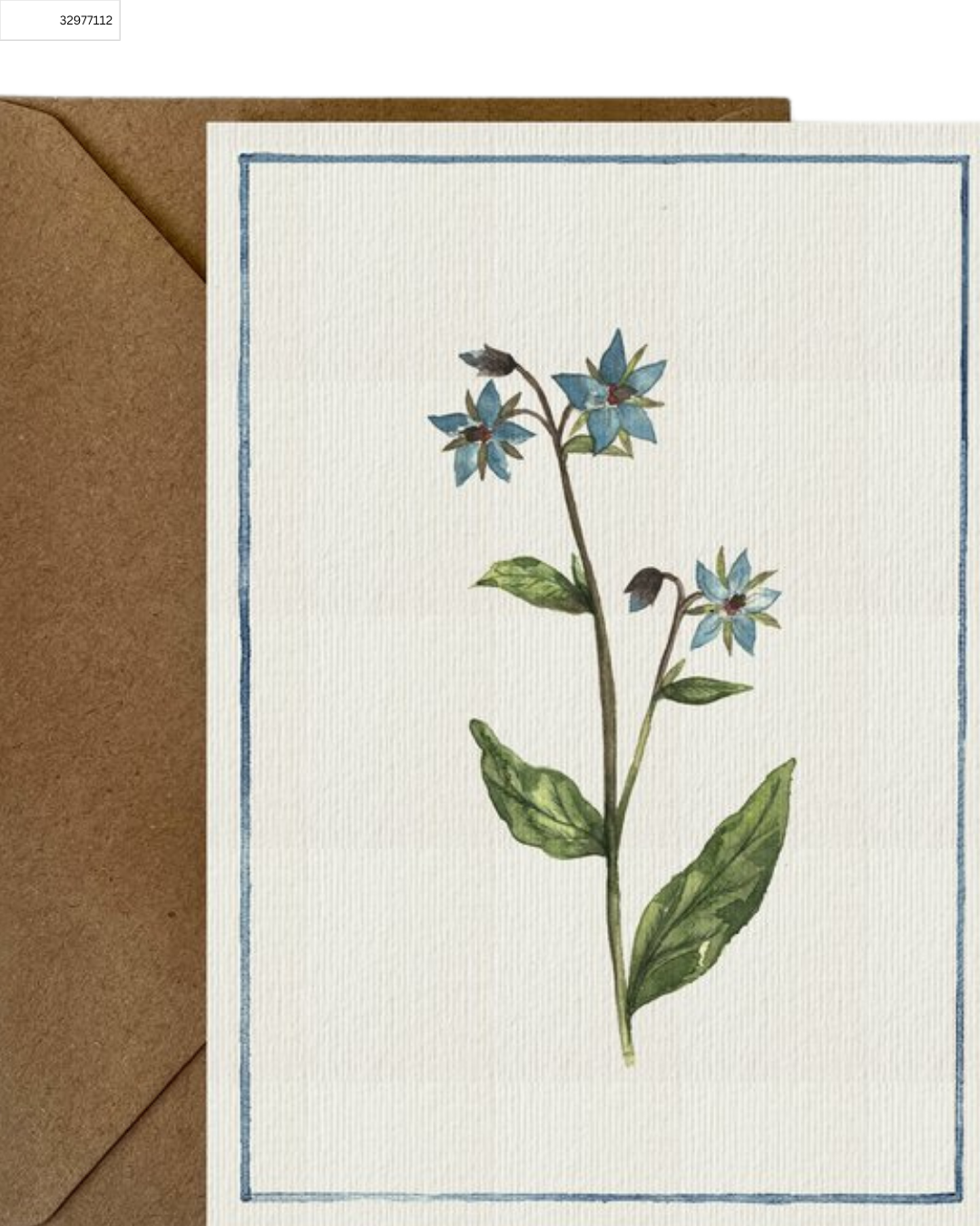 borage