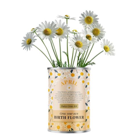 April Birth Flower - Grow Your Own Flower Gift