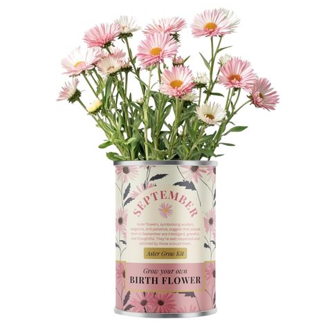  Birth Flower - Grow Your Own Flower Gift 